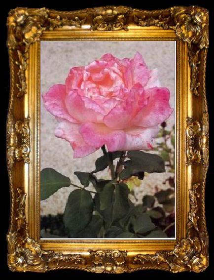 framed  unknow artist Still life floral, all kinds of reality flowers oil painting  124, ta009-2